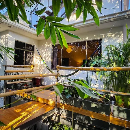 Mansion Bamboo Hotel